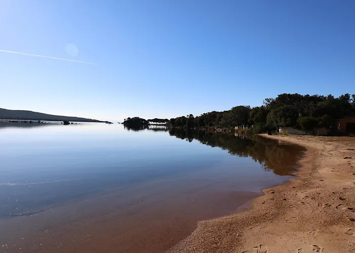 U Bellu Paradisu - T3 Vue Mer, Piscine, Prive פיאנוטולי-קלדרלו